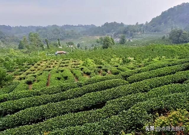 成都蒲江爆红徒步路线，观景台可观四姑娘山和贡嘎雪山，全部免费
