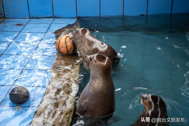 周末好去处丨人少免费!烟台小众公园美疯了