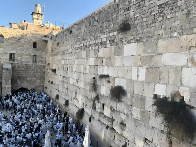 在埃及观察组的日日夜夜(七 完结篇)