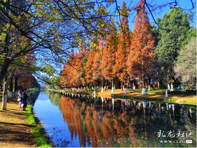 采莲河畔好风光