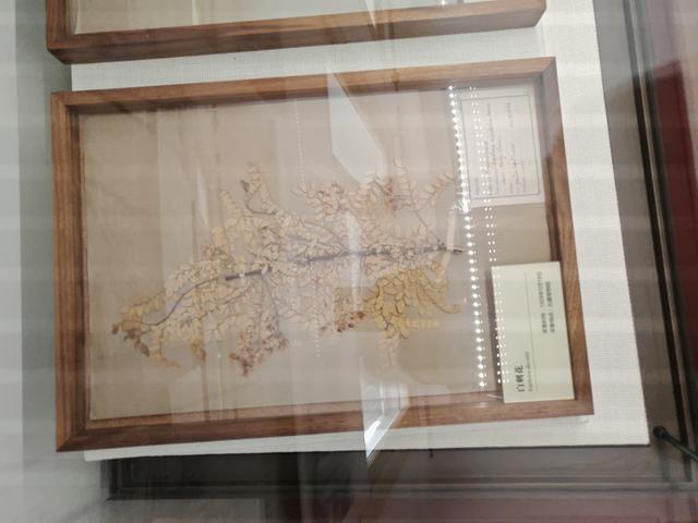 周末遛娃好去处