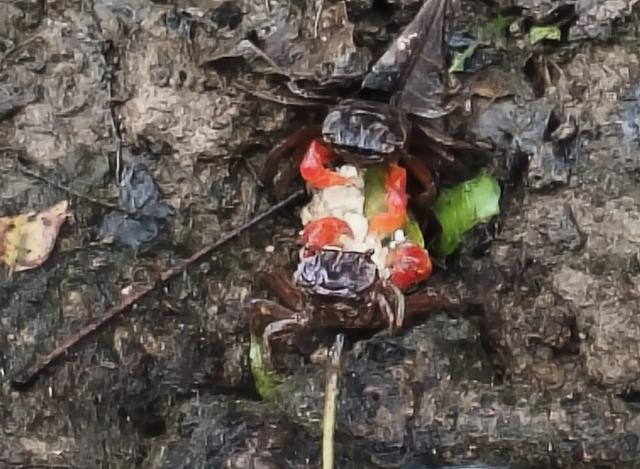 去别人呆腻的地方逛吃逛吃(珠海篇)