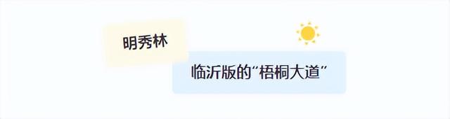 临沂免费赏秋好去处，错过你将后悔一整年！
