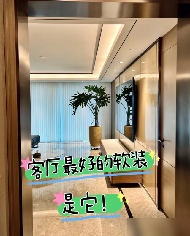 北京一太太，因“三角梅客厅”而走红，蜿蜒多姿，妥妥的视觉盛宴