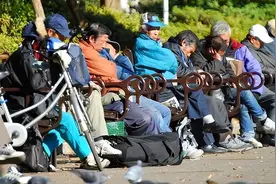 中美日老龄化差距如断崖：美国5604万，日本3623万，中国出人意料图片