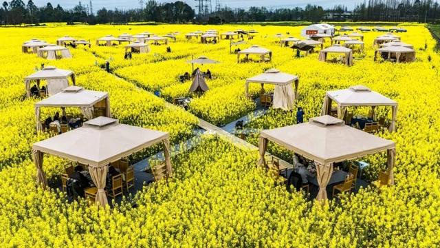 把春天煮进火锅里！崇州的花田火锅点位分布在这里↓