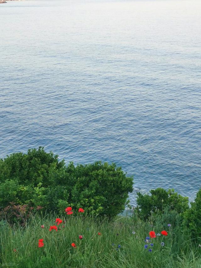 全部免费！青岛0元看海，赏无敌海景，青岛7处免费看海地不可错过