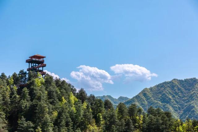 山野拾童趣!带娃来汉中这里,共享秋日亲子好时光~