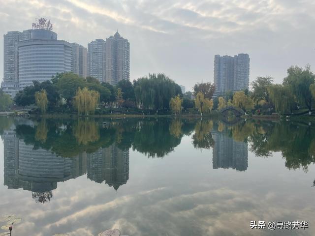 南充行：从枯黄到碧绿的十二小时