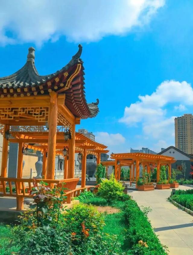 从晨风到星光，在临夏邂逅夏日“小确幸”