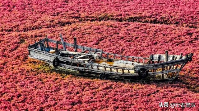 你敢信吗？青岛藏了一片“流血”的海！