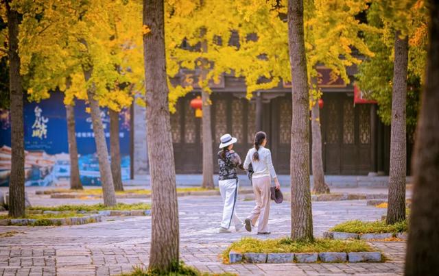 抓住秋天的尾巴 | 台儿庄古城秋色打卡指南，附私藏机位！