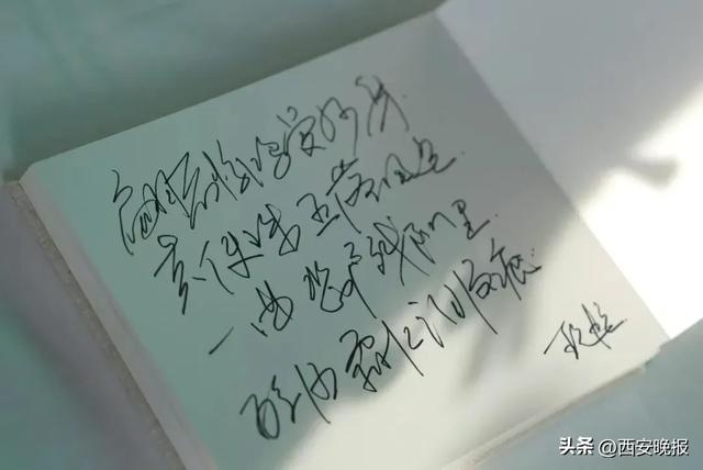 何晴告别仪式举行,儿子深情追忆:妈妈喜欢雪,北京初雪是为她而下