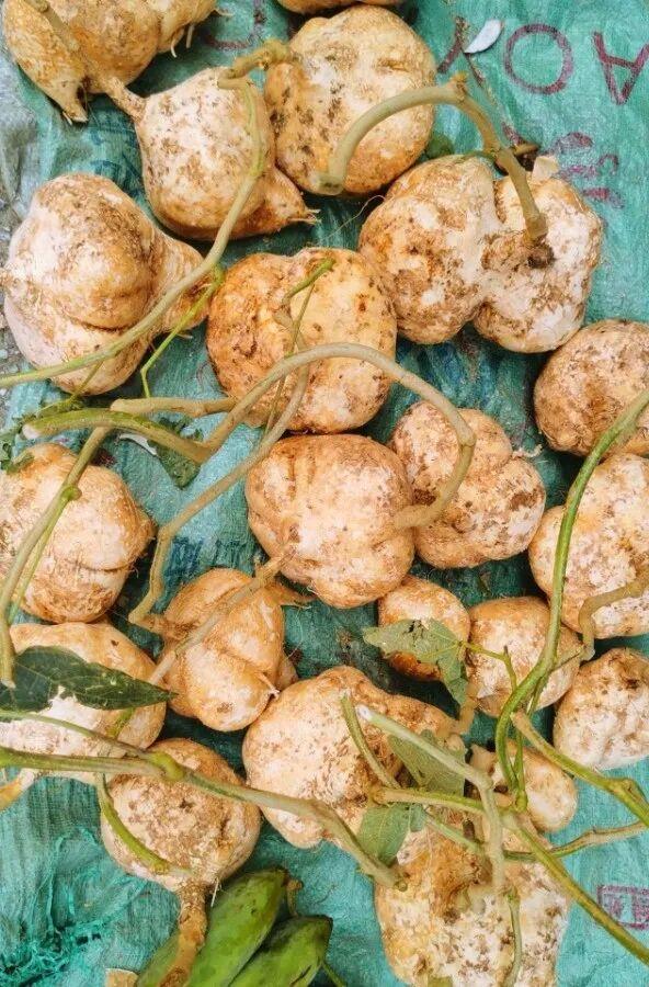 趁墟了喂！打卡从化鳌头墟，感受烟火里的人文慢时光