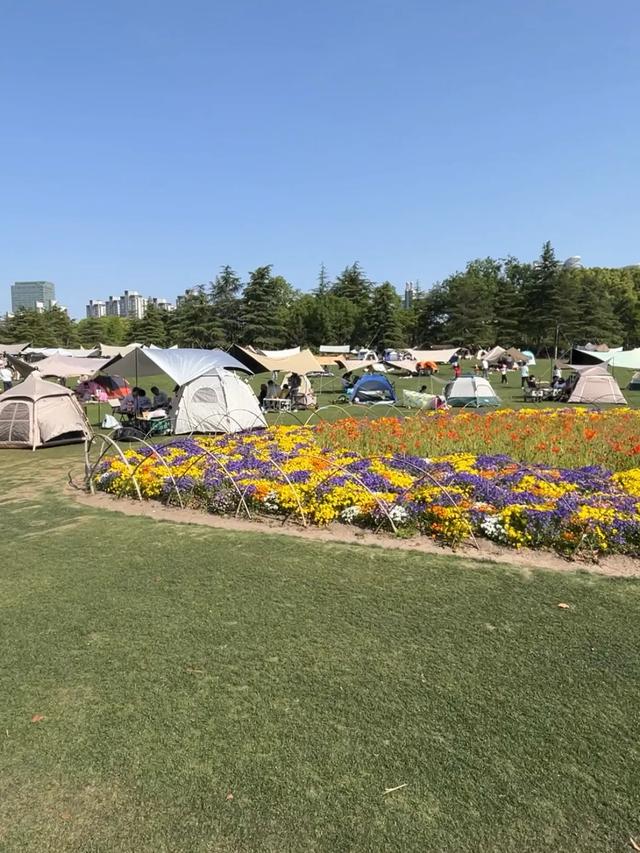 上海10亿打造的大型公园，竟可媲美纽约中央公园！