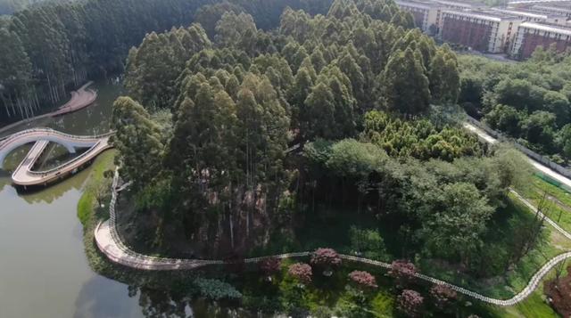 成都10个周末一日游宝地，没有门票~徒步露营溜娃都巴适！