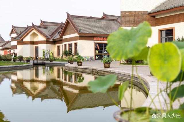 赴一场金湖塔集的夏日之约，邂逅万亩荷花海
