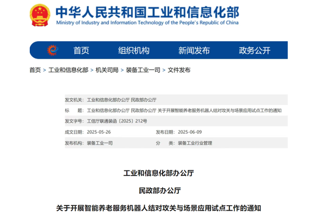 机器人+养老能否成为未来养老的替代选择？