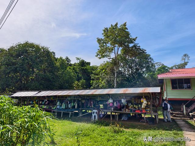 马来西亚(29)砂拉越州③姆鲁山清水洞·风洞