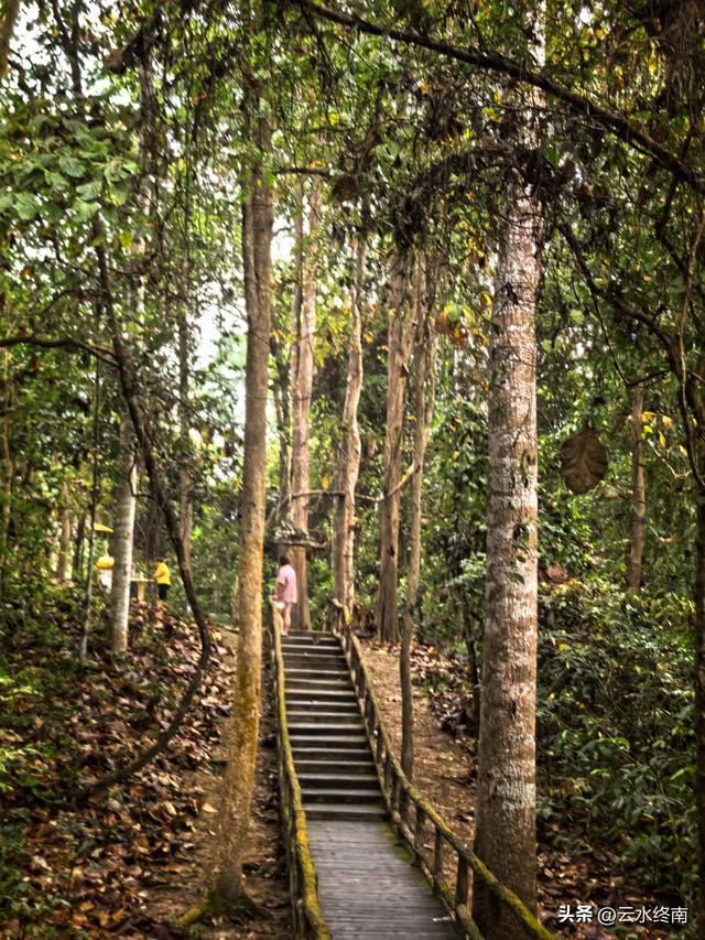 这景点放国内，还不收个七八十？