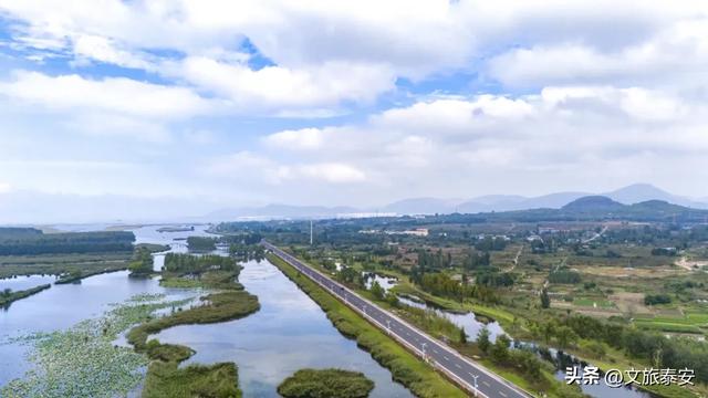 静湖、暖阳、慢时光!入冬后的东平湖已经美成人间的童话啦~