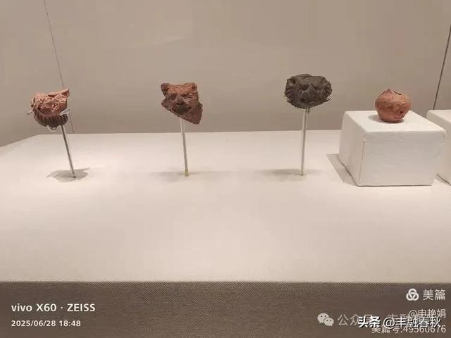 探秘丝路明珠,邂逅巴楚千年文明——走进新疆巴楚博物馆|申艳娟