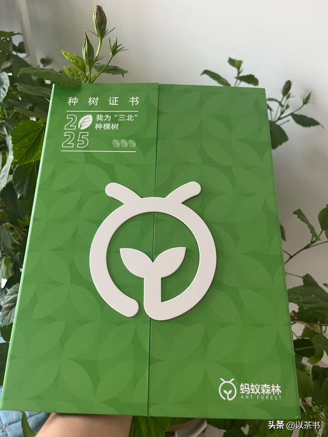 9年过去了，承诺每年在沙漠里种1亿棵树的马云，如今他做到了吗？