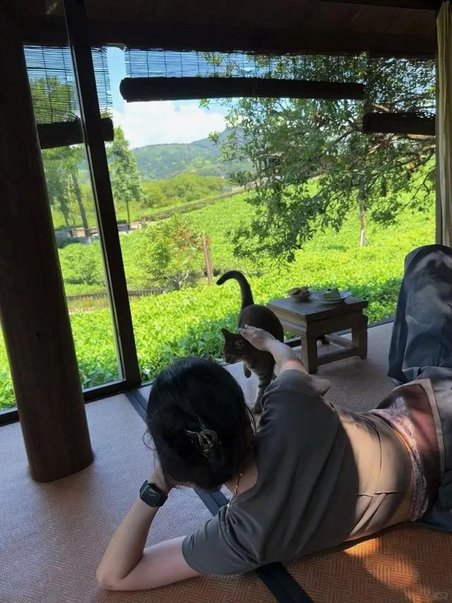 武夷山山居日记：慢下来，才是真正的生活。