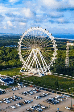 什么？日照下“雪”了？