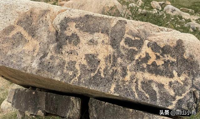 达茂旗达尔罕、百灵庙、乌克忽洞，固阳银号、忽鸡沟田野考察笔记