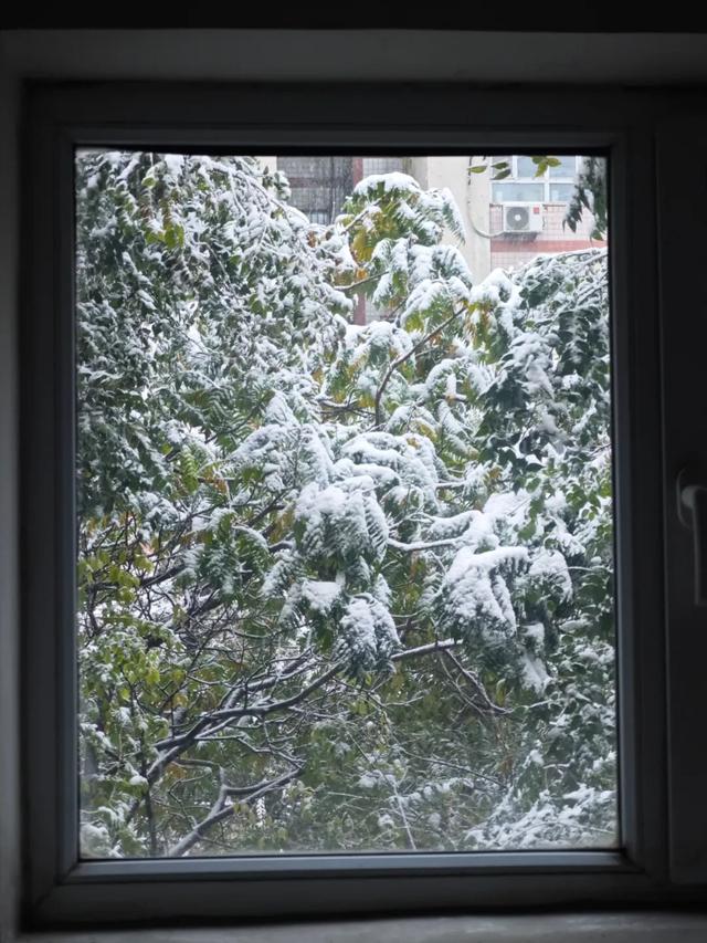 10月，「需要另一个同类」