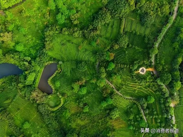 速来广东避暑！六大主题胜地，堪比“空调房”