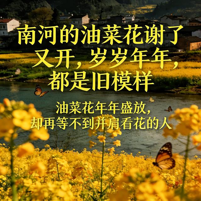 一顿没订的早餐——今生不和好