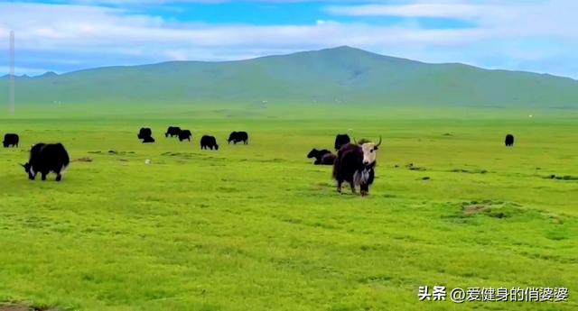 你喜欢旅行，我喜欢陪你
