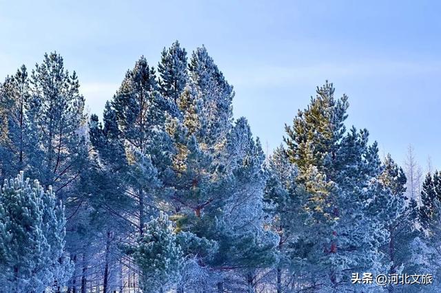 御道口草原森林风景区：草原换银装，森林藏冬韵！