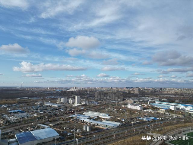 新疆昌吉头屯河公园