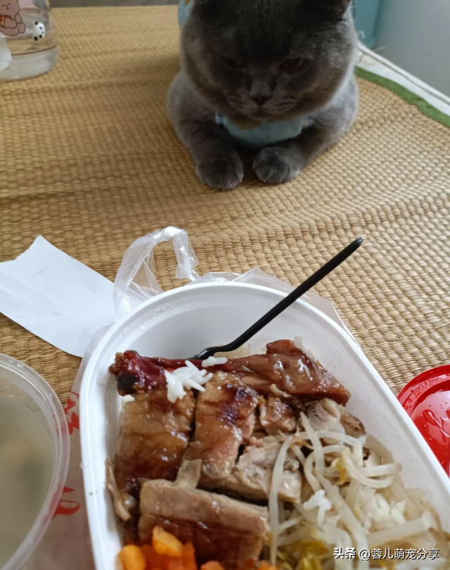 外卖员发照片说家人已签收，哈哈，外卖已被小猫签收！