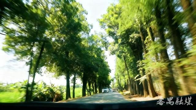 调至→City Drive模式