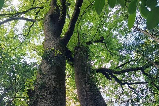 来篁岭～开启爱情圣地的浪漫之旅