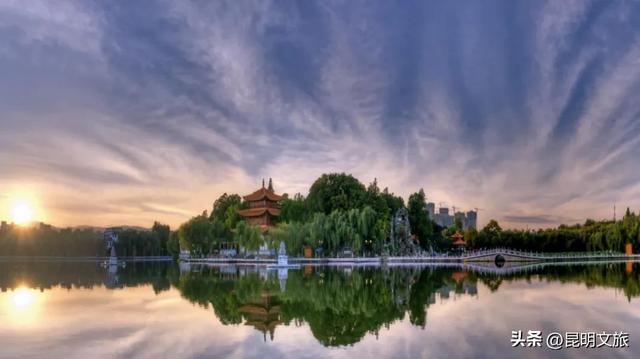 上榜十大热门目的地!年末错峰出游来昆明,观鸥赏杏,攻略都给你做好了~