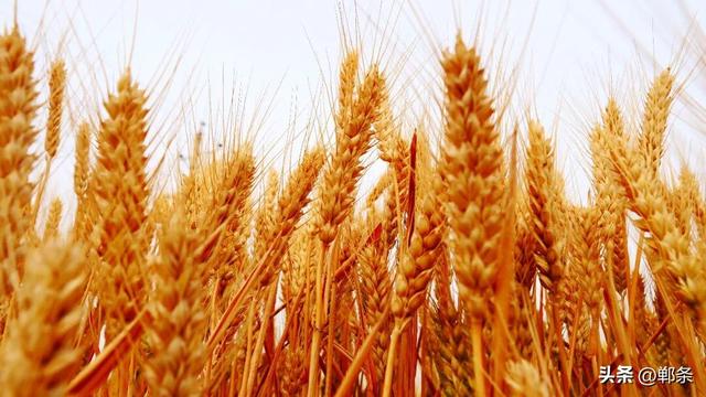 大美磁县 一眼沦陷