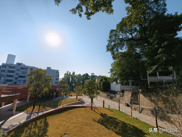 最近很火！中山版“画马”来了