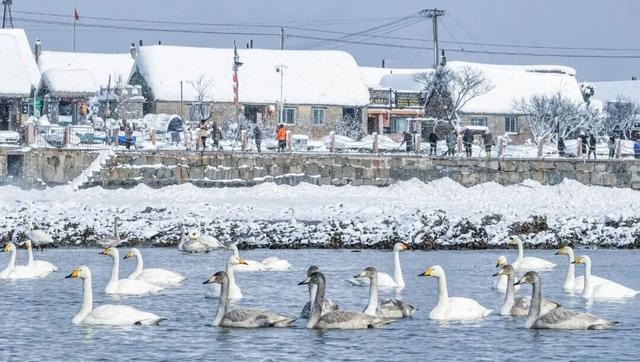 冬日畅游齐鲁，相约乐GO山东！