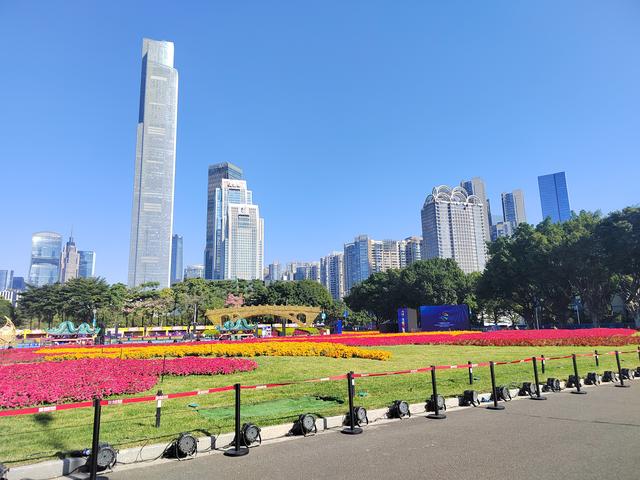 花城看花看灯饰