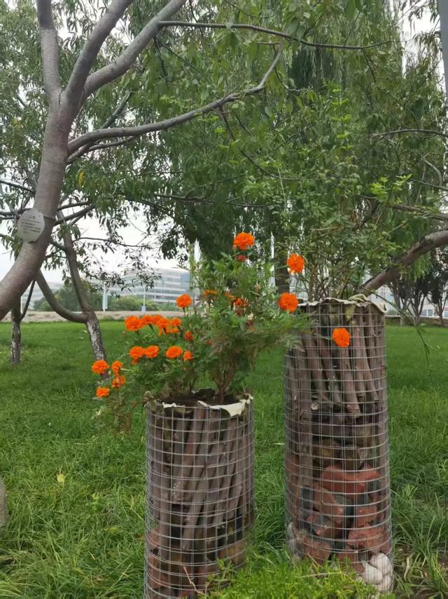 国庆好风光 一起来保税“花”式打卡吧