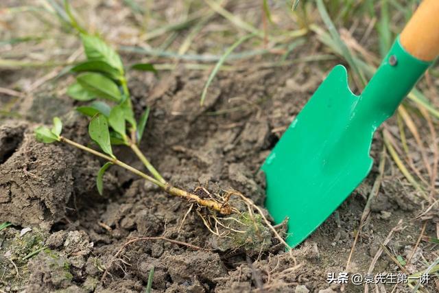 今日小雪，老人说最怕“小雪一日晴”，小雪天晴有啥预兆？