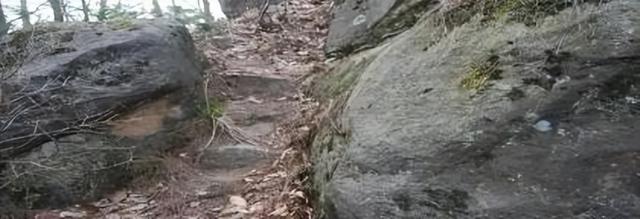 余忠平：千年蜀道中的米仓道