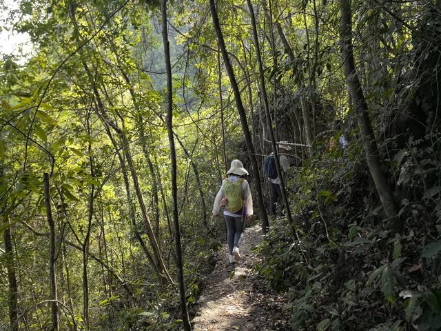 带小朋友去贵州茂兰,连环探洞加漏斗原始森林徒步二日游全攻略!
