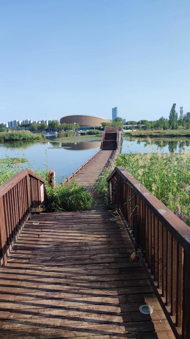 银川花博园真的好大，好大，是我见过的最大的花园