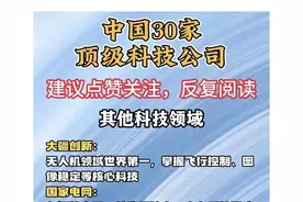 中国30家顶级科技公司，多家已经发展成为全球第一，值得收藏！图片